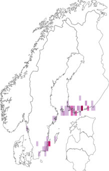 Kaarta Lyonetia prunifoliella. Data source: GBIF