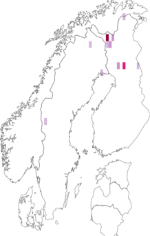 Fyndkarta för nordisk rörsäckspinnare. Datakälla: GBIF