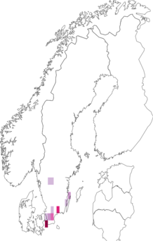 Fyndkarta för Acrotona exigua. Datakälla: GBIF