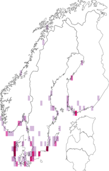 Fyndkarta för flamingor. Datakälla: GBIF