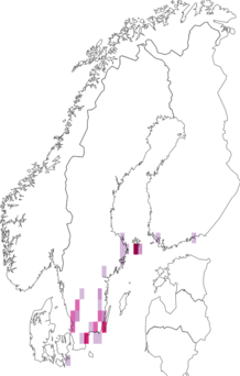 Fyndkarta för ekgallsolvecklare. Datakälla: GBIF