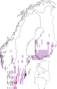 Kaarta Bryotropha terrella. Data source: GBIF