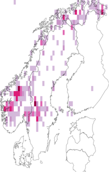Fyndkarta för flikad islandslav. Datakälla: GBIF