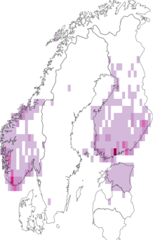 Levikukaart: valgeselg-kirjurähn. Andmete allikas: GBIF