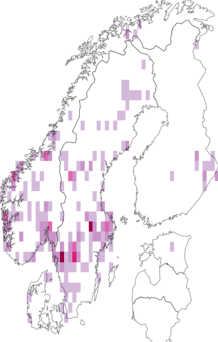 Kaarta Suillus flavidus. Data source: GBIF