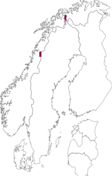Fyndkarta för Halecania alpivaga. Datakälla: GBIF