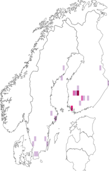 Fyndkarta för Leucophenga. Datakälla: GBIF