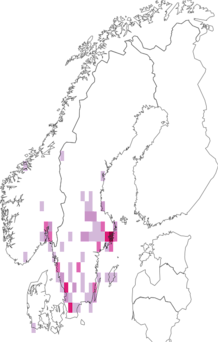 Fyndkarta för Stenodema laevigata. Datakälla: GBIF