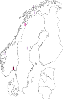 Fyndkarta för Exidiopsis livescens. Datakälla: GBIF