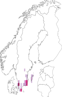 Fyndkarta för sydligt silverbandgräsmott. Datakälla: GBIF