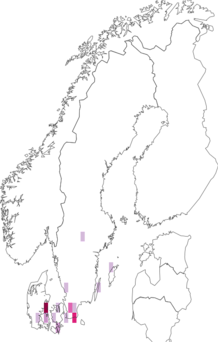 Fyndkarta för rodnande puderskivling. Datakälla: GBIF