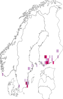 Fyndkarta för svaltingblomvecklare. Datakälla: GBIF