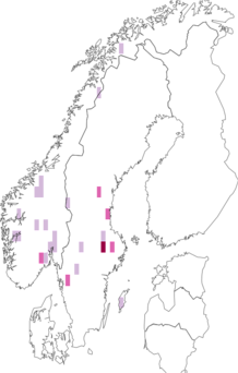 Fyndkarta för Amanita flavescens. Datakälla: GBIF