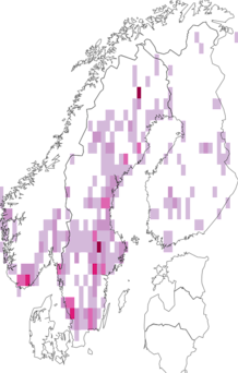 Fyndkarta för Neureclipsis bimaculata. Datakälla: GBIF