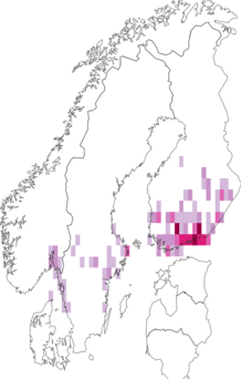 Fyndkarta för gullriskapuschongfly. Datakälla: GBIF