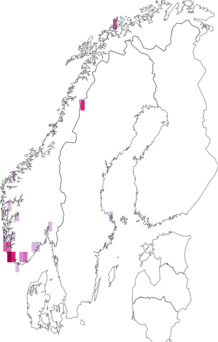 Kaarta Lupinus perennis. Data source: GBIF