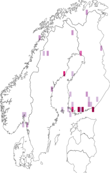 Fyndkarta för Rhamphomyia pilifer. Datakälla: GBIF