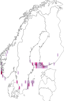 Fyndkarta för svartkämpestyltmal. Datakälla: GBIF