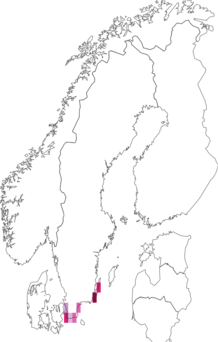 Fyndkarta för Thereva marginula. Datakälla: GBIF