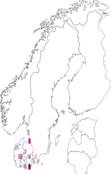 Kaarta Cnephasia longana. Data source: GBIF
