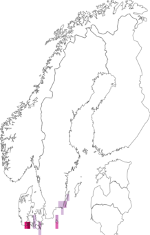 Fyndkarta för flenörtkapuschongfly. Datakälla: GBIF