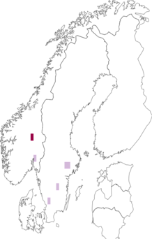 Fyndkarta för Vejdovskyella comata. Datakälla: GBIF