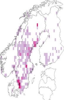 Fyndkarta för grusrörsnattsländor. Datakälla: GBIF
