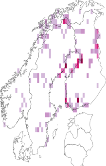 Levikukaart: Ranunculus confervoides. Andmete allikas: GBIF