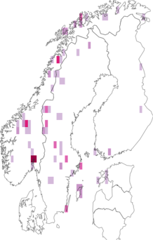 Fyndkarta för mossorangelav. Datakälla: GBIF