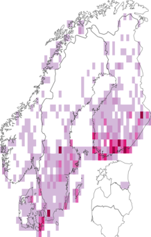 Fyndkarta för Epirrhoe. Datakälla: GBIF