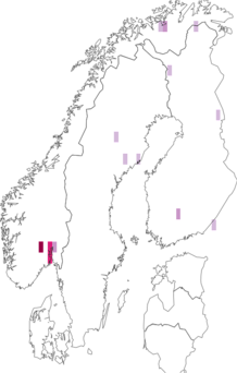 Fyndkarta för Euthyneura albipennis. Datakälla: GBIF
