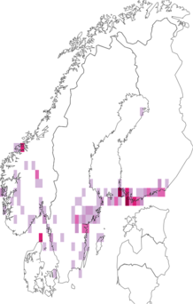 Fyndkarta för grått jordfly. Datakälla: GBIF