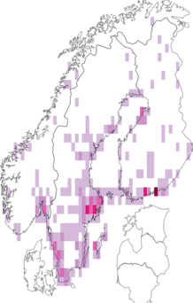 Fyndkarta för taggsländfluga. Datakälla: GBIF