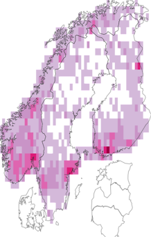 Fyndkarta för hällebräkenväxter. Datakälla: GBIF