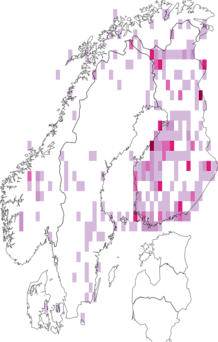Fyndkarta för högnordiskt jordfly. Datakälla: GBIF