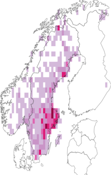 Fyndkarta för violett blåvinge. Datakälla: GBIF