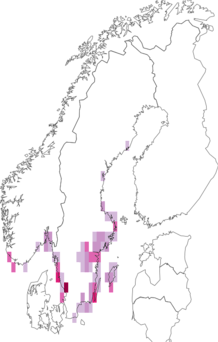 Fyndkarta för Bryophila. Datakälla: GBIF
