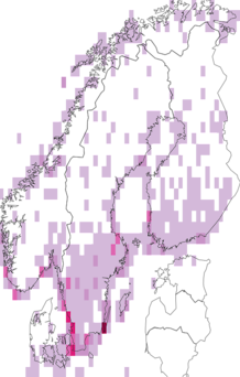 Kaarta isosirri. Data source: GBIF