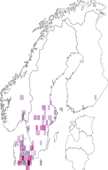 Kaarta Eustroma reticulata. Data source: GBIF