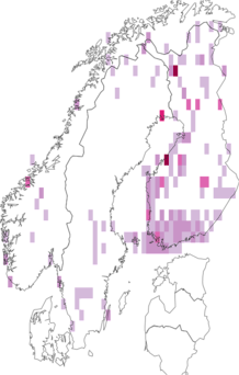 Fyndkarta för kråkrisgråmal. Datakälla: GBIF