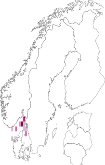 Kaarta Pasiphaea sivado. Data source: GBIF