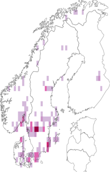 Kaarta Lepiota castanea. Data source: GBIF