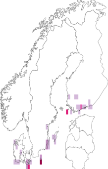 Fyndkarta för vitsprötad skymningssvärmare. Datakälla: GBIF