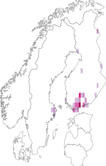 Fyndkarta för vitsprötad gullrissäckmal. Datakälla: GBIF