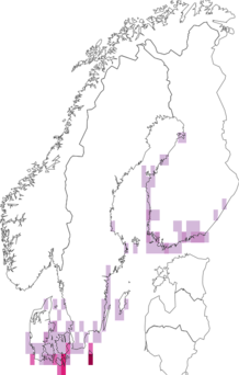 Kaarta Simyra albovenosa. Data source: GBIF