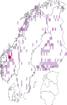Fyndkarta för ängsgråvecklare. Datakälla: GBIF