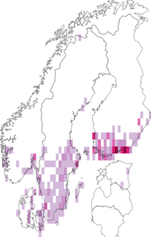 Fyndkarta för vitgrön lundmätare. Datakälla: GBIF