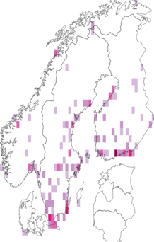 Fyndkarta för Scathophaga stercoraria. Datakälla: GBIF