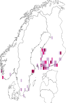 Kaarta Coleophora pyrrhulipennella. Data source: GBIF