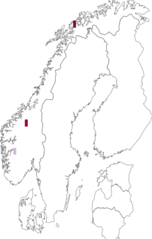 Fyndkarta för Schadonia fecunda. Datakälla: GBIF